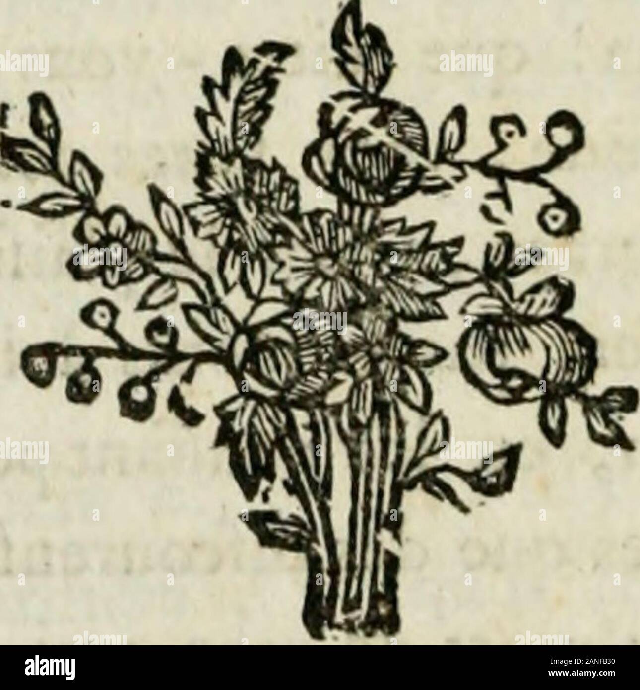 La Femme Au Chat High Resolution Stock Photography And Images Alamy