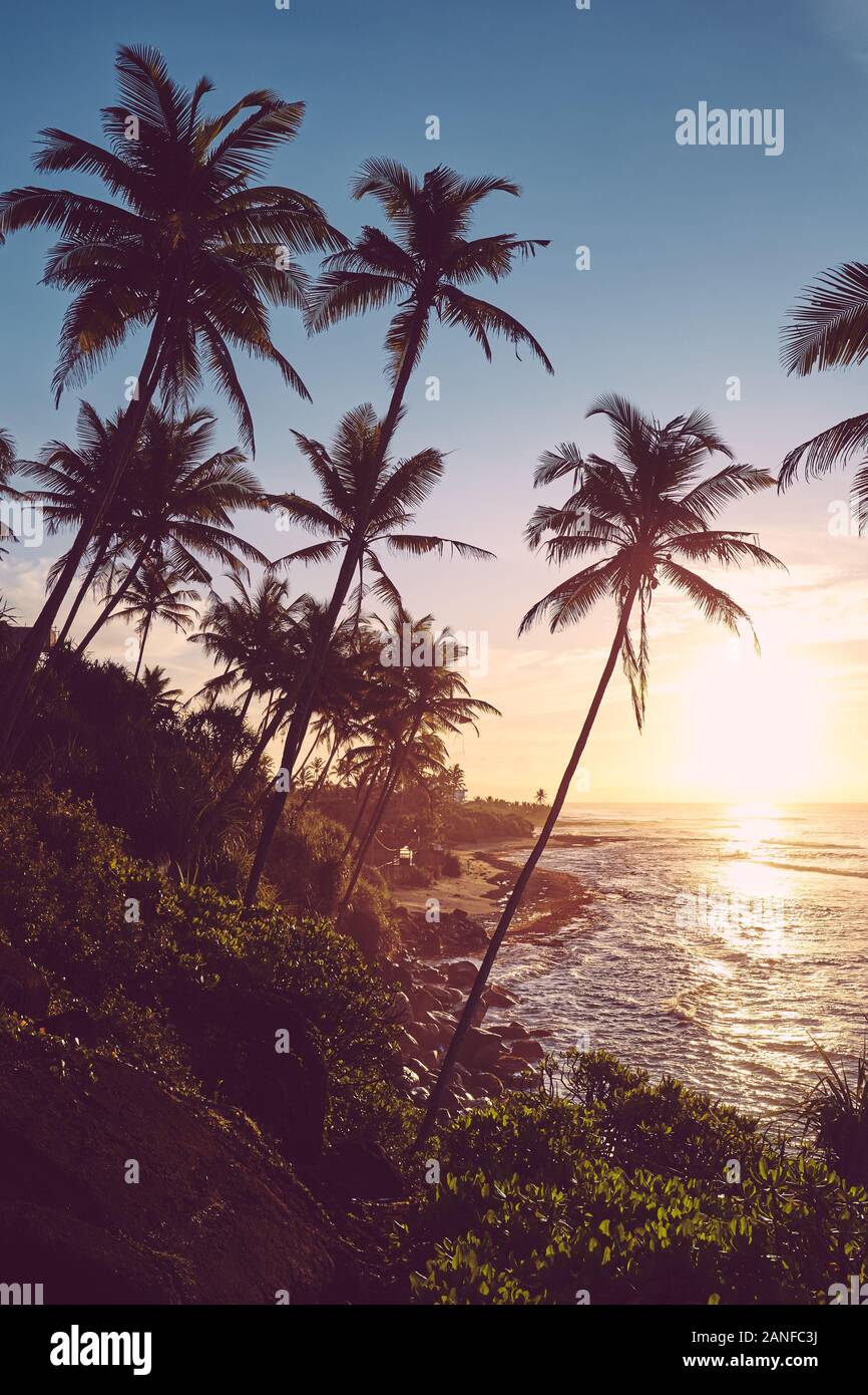 Tropical island at sunrise, color toned picture, Sri Lanka. Stock Photo