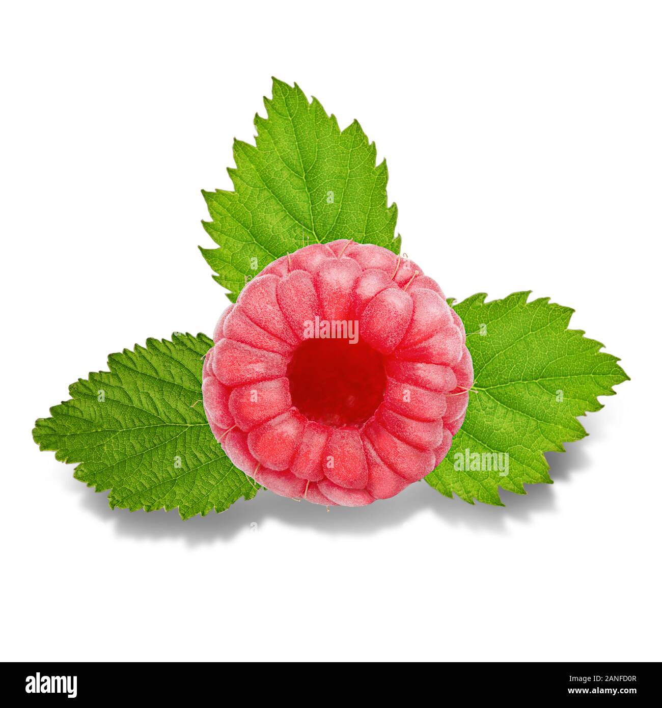 Three raspberry fruits with leaves isolated on white Stock Photo - Alamy