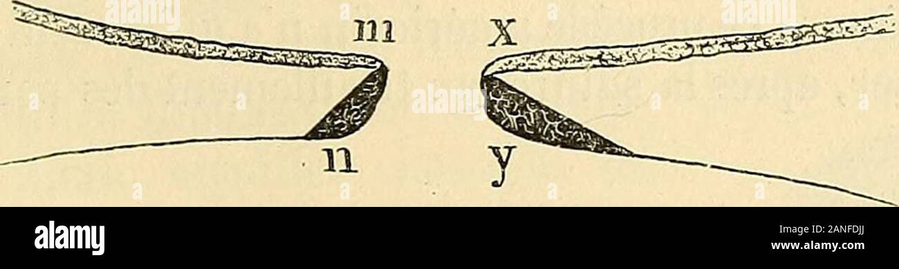 page 5 gynecologie high resolution stock photography and images alamy