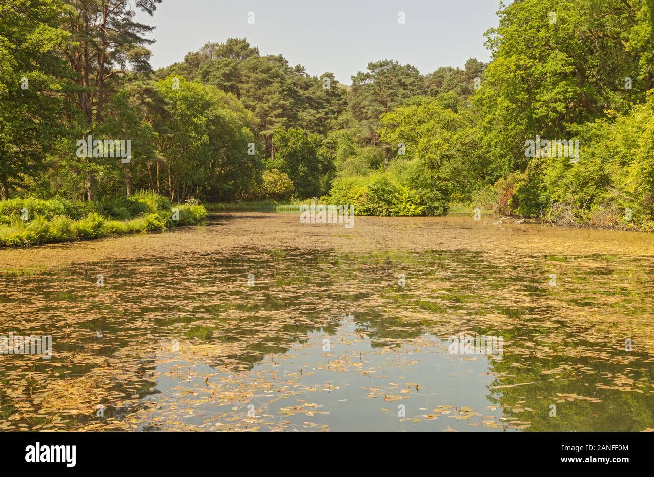 Far Lake, CraigyNos Country Park, Penycae, Brecon Beacons National