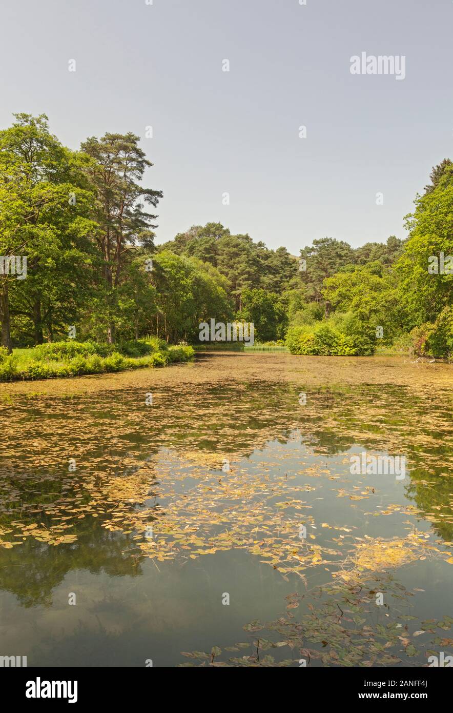 Far Lake, CraigyNos Country Park, Penycae, Brecon Beacons National
