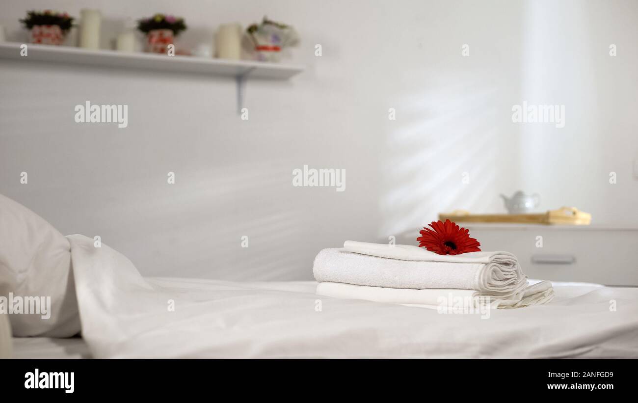 Flower lying on clean towels on bed, comfortable hotel room, washing powder Stock Photo