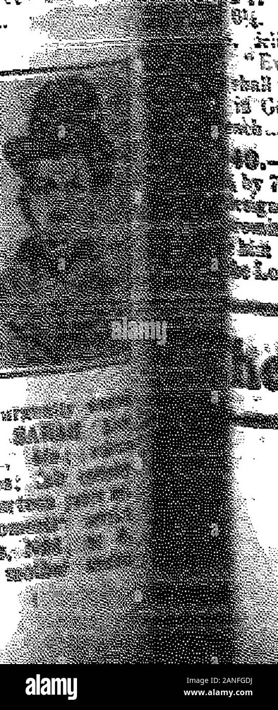 Fetr High Resolution Stock Photography And Images Alamy Fetr High Resolution Stock Photography And Images Alamy