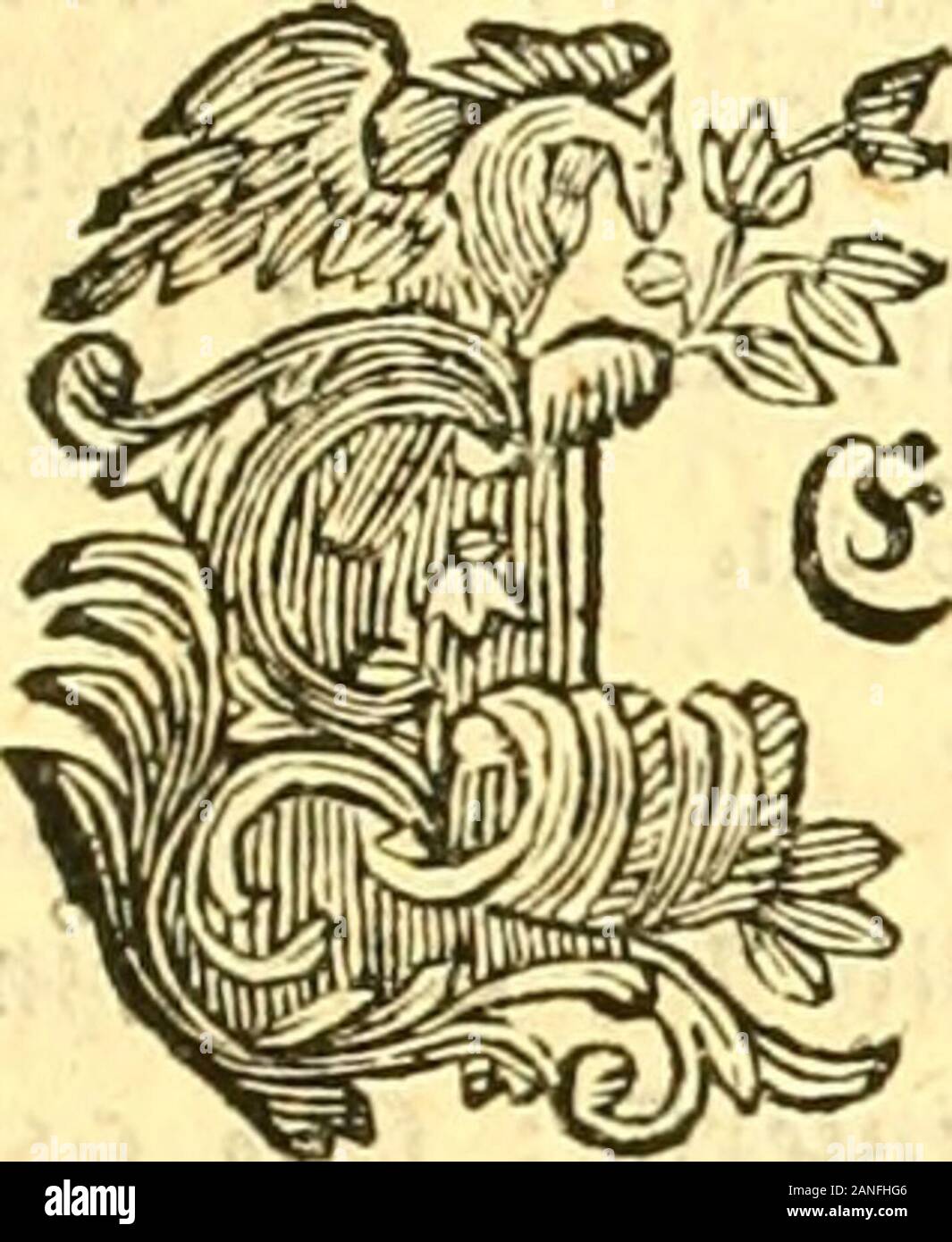 DJacob Christian Schäffers Abhandlungen von Insecten : erster[-dritter und lezter Band] .. . f. r. äcn, unb mek 3)ortf;cife, nit( jtc^ fuf^re. Mein, boVit UnglucföfiWe, ml4m tkfdbi jU3(etcö öii^acfci^ett(T, {iiö iit »crfiv-en, ja iAm&üiia fdiicu Uiueräiinsi »crurfacOm S)?(tn |^;f)« c^ rtffi) mü rtitcm Stcc^fc fuf tiw gfoflcö Ungfucf an, af«im -Oi^b^i inib Eintet bcö 1753. 3^^^^^/ ^i^ « »telcii «nbern Dvan,f) ÄHCÖ in Ncfigcri)7ac&6afrct)aff, eine ^vanff^cit ttntcv bcn ©djiiafcn ein*tit$, »einlebteja^U-ei(^e(!€n&lt;Cecvbcnaufric{), obcrboct) fd)tncmihiatt. tO?dne ^Yt)^iU ivirb baffer fdi^t ä» c Stock Photo