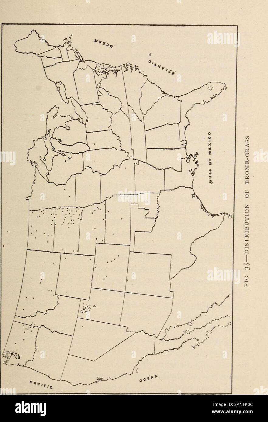 Farm grasses of the United States; a practical treatise on the grass crop, seeding and management of meadows and pastures, descriptions of the best varieties, the seed and its impurities, grasses for special conditions, etc., etc . as it is farther west.In the West it had no competitors as a pasture-grass,while in the East it had to compete with several long-established and highly satisfactory grasses, particularlytimothy and blue-grass. It has already been statedthat nearly all the grass literature issued by the Stateexperiment stations comes from those stations outsideof the region of timoth Stock Photo