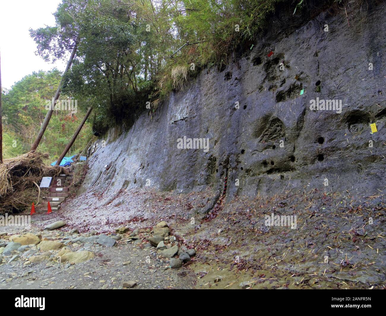 International union of geological sciences hires stock photography and