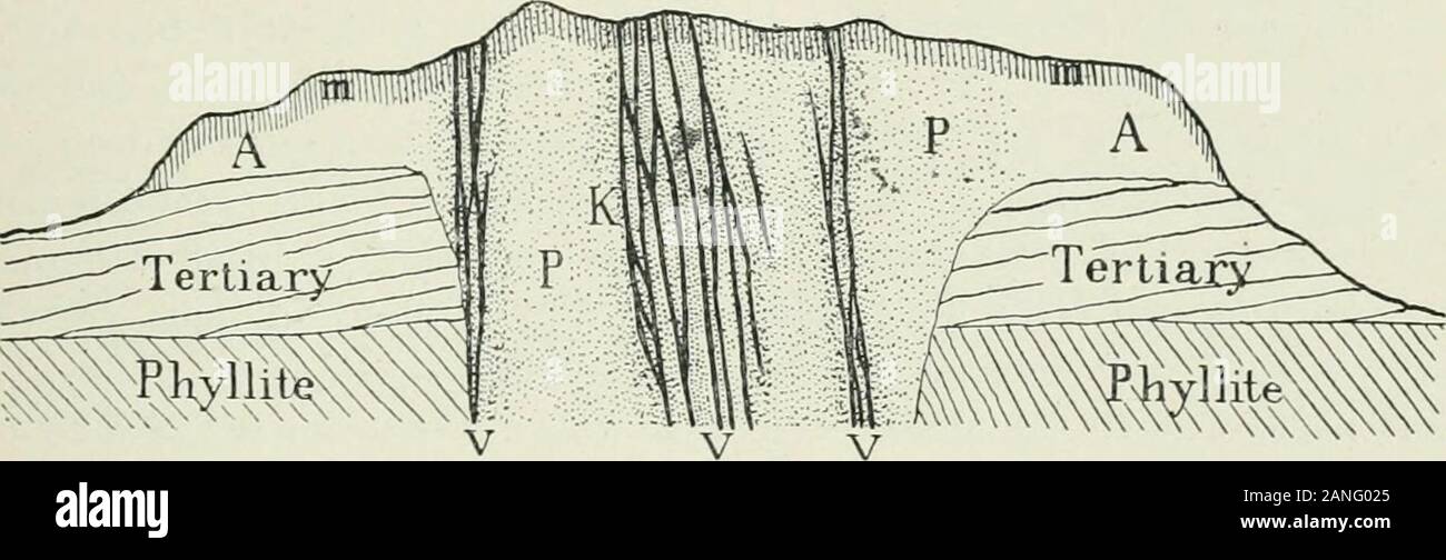 The deposits of the useful minerals & rocks; their origin, form, and content . At Nagyag the lodes occur within an eruptive throat or chimney con-sisting of propyhtized dacite, though andesite also appears. Within an area THE YOUNG GOLD-SILVER LODES 545 about 1000 m. long and 950 m. wide an extraordinary number of steeplyinclined and approximately north-south lodes are found, these being generallybut 10 cm. wide and seldom as much as 30 cm. The occurrence is illus-trated in Fig. 295. In addition to gold telluride/ native gold, thoughseldom, is also found. Its derivation from the telkuide may b Stock Photo