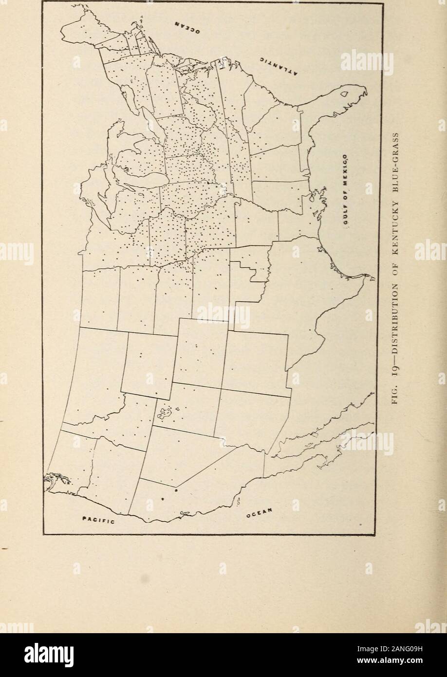 Farm grasses of the United States; a practical treatise on the grass crop, seeding and management of meadows and pastures, descriptions of the best varieties, the seed and its impurities, grasses for special conditions, etc., etc . lue-grass seed has been harvested insouthern Iowa and northern Missouri. Small quan-tities are also harvested in other States. Distribution. — Fig. 19 shows approximately the dis-tribution of blue-grass in this country. By referringto Fig. 17, it will be seen that blue-grass agrees veryclosely with timothy in its distribution. These twograsses and red clover, which Stock Photo