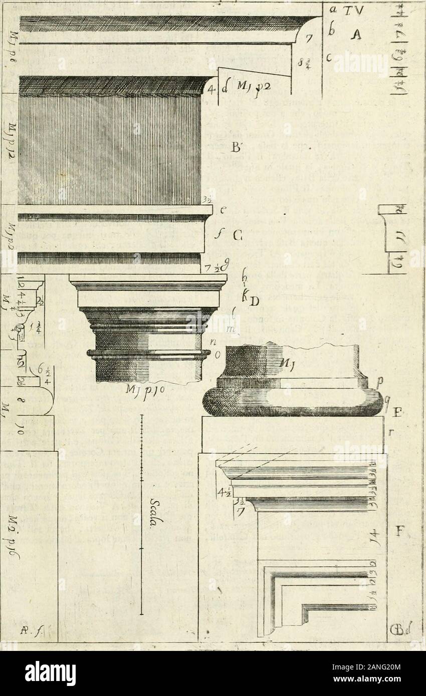 Metro di altezza hires stock photography and images Alamy