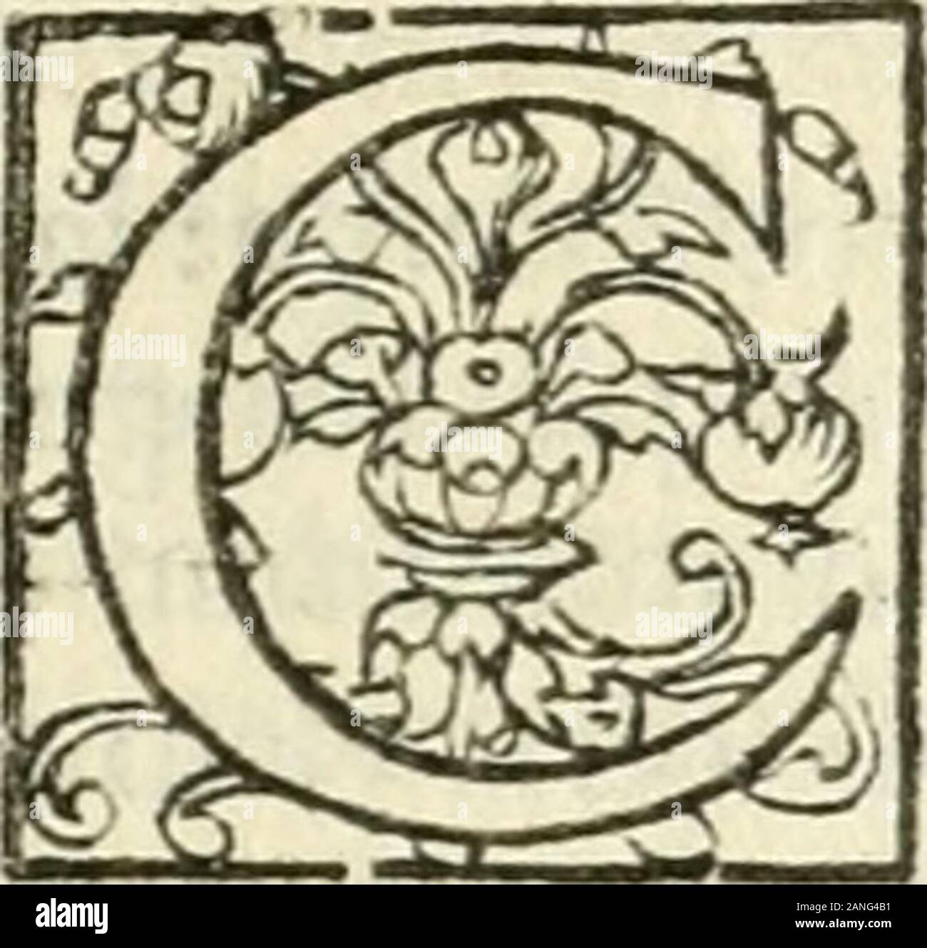 L'agriculture et maison rustique; en laquelle est contenu tout ce qui peut estre requis, pour bastir maison champestre, nourrir & medeciner bestiail & volaille de toutes fortes, dresser iardins ..entretenir les prez, viuiers & estangs ..Plus vn bref recueil de la chasse & de la fauconnerie . ,verd de gris, le tout foit incorporé enfcmble auec vinaigreblanc & eau forte, & en frottezparneuf matins le chancre.Siks chiensapresauoir couru par verglats,& autre mau.uais temps : ou nagé es riuieres & eftangs à la pourfuitte desbefies font morfondus : incontinent quils feront de retour àleur chenin, le Stock Photo