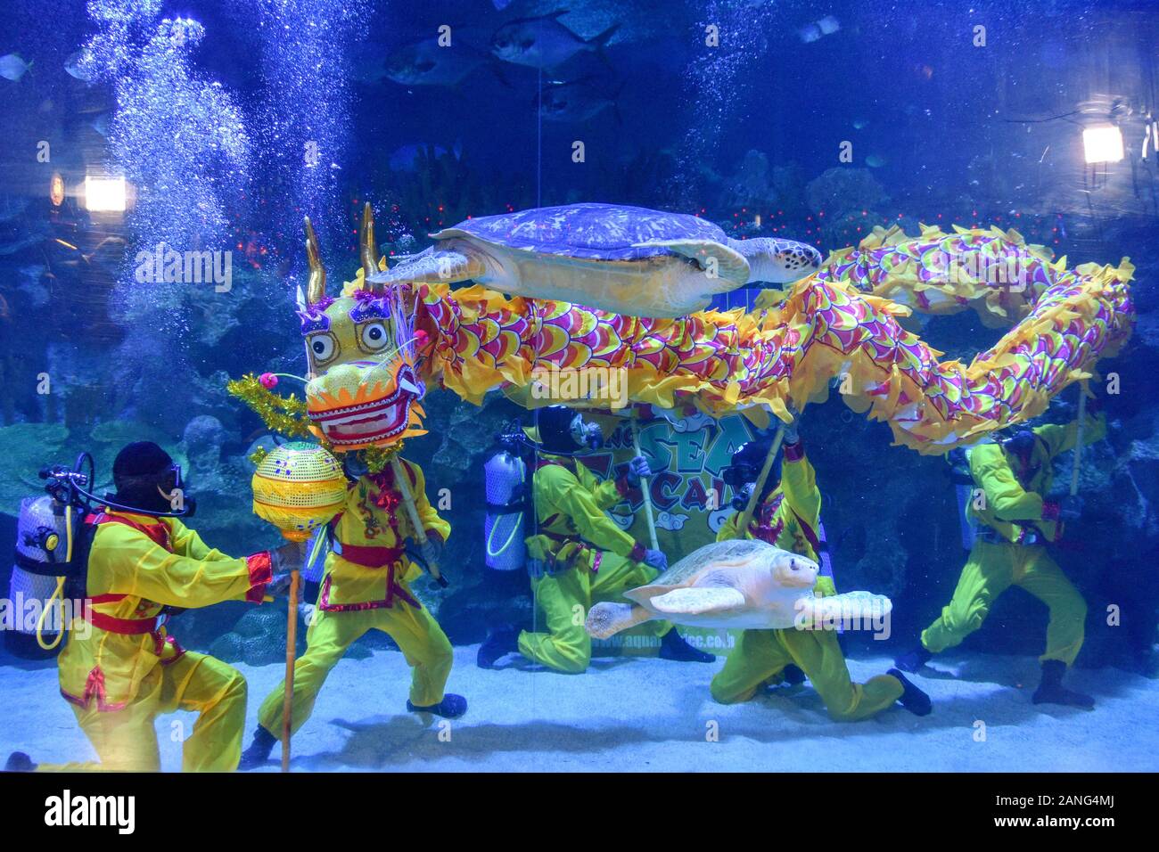 Underwater dragon dance hi-res stock photography and images - Alamy