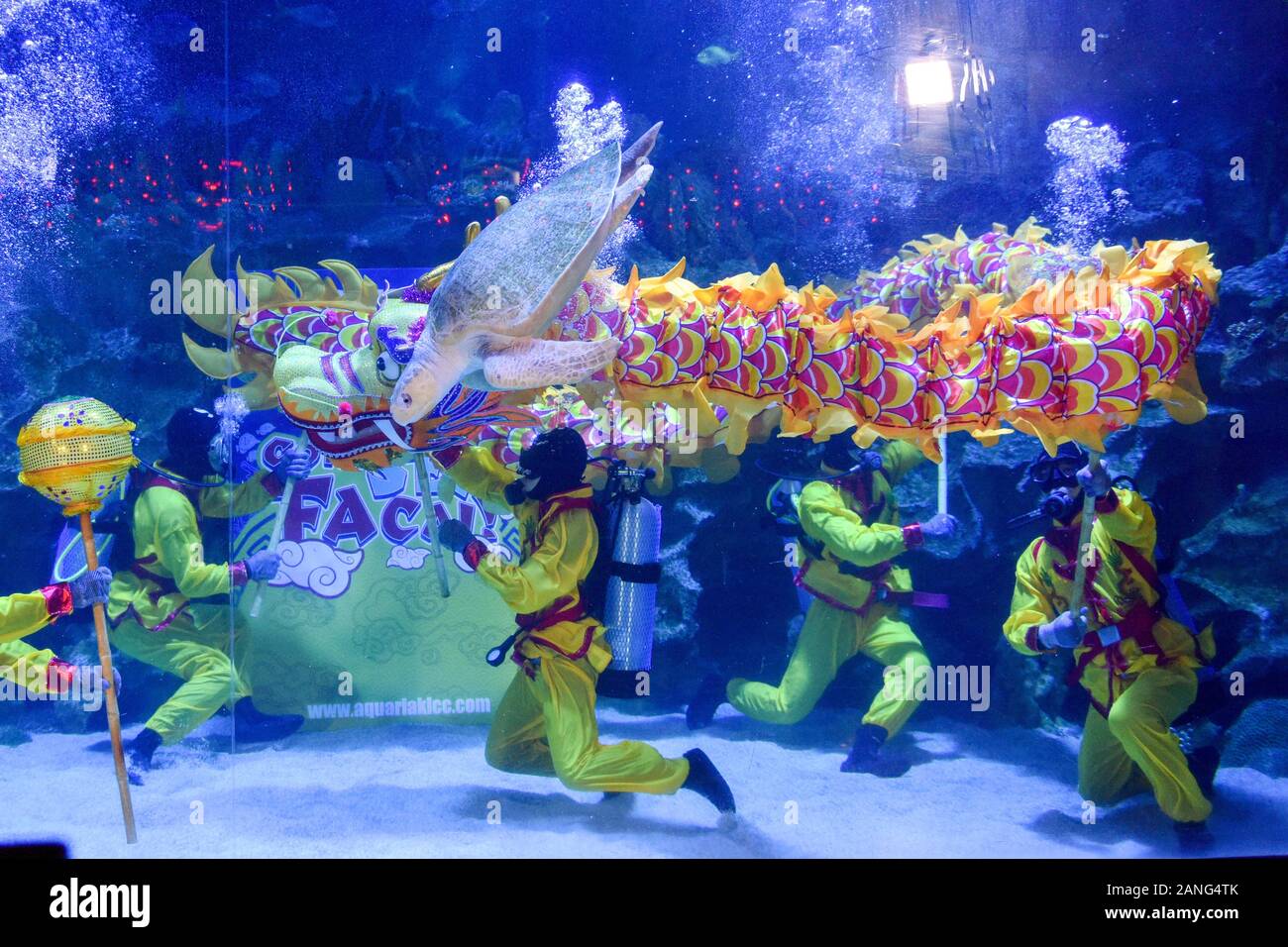Underwater dragon dance hi-res stock photography and images - Alamy