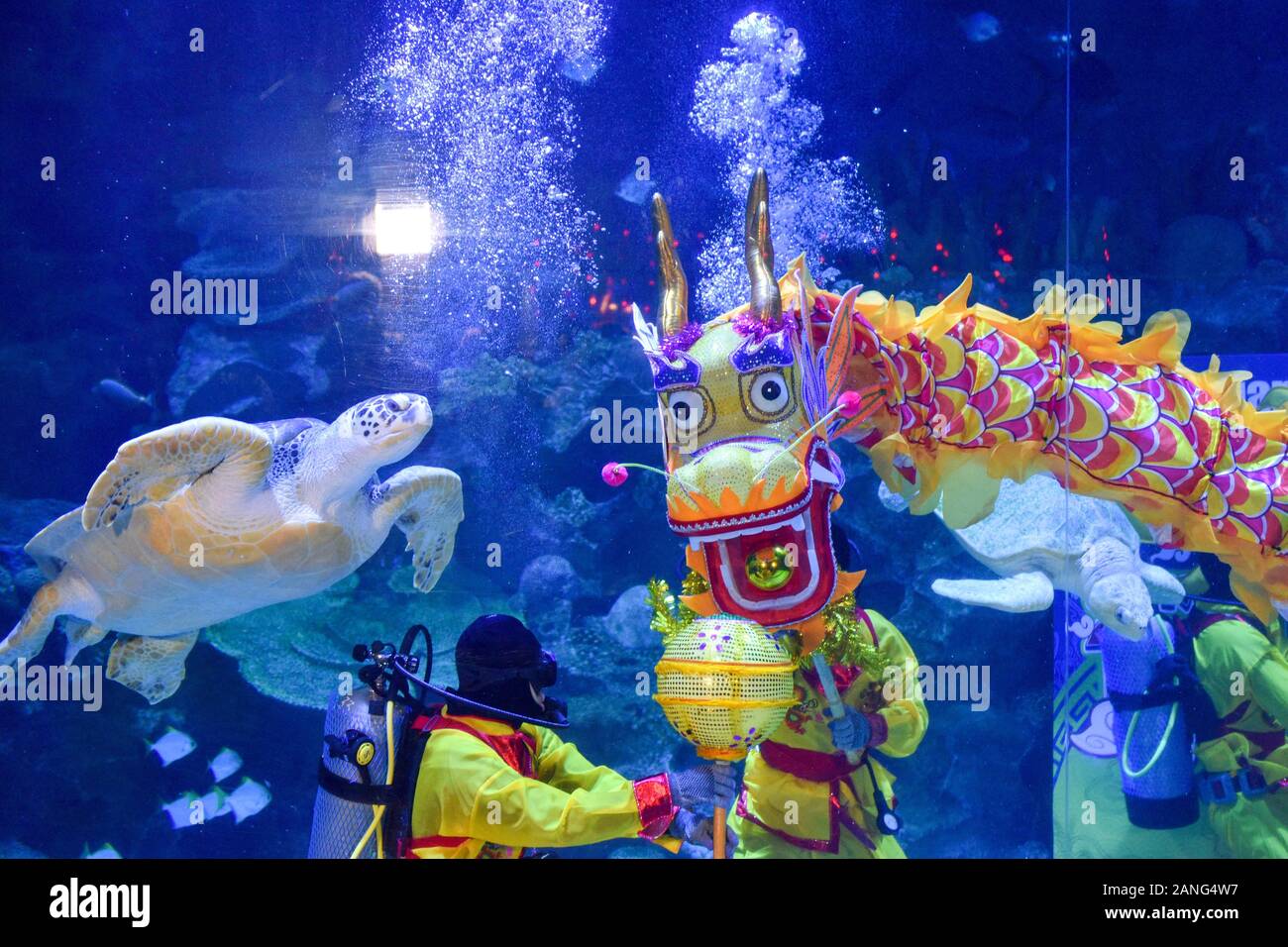 Kuala Lumpur. 17th Jan, 2020. Divers perform underwater dragon dance at