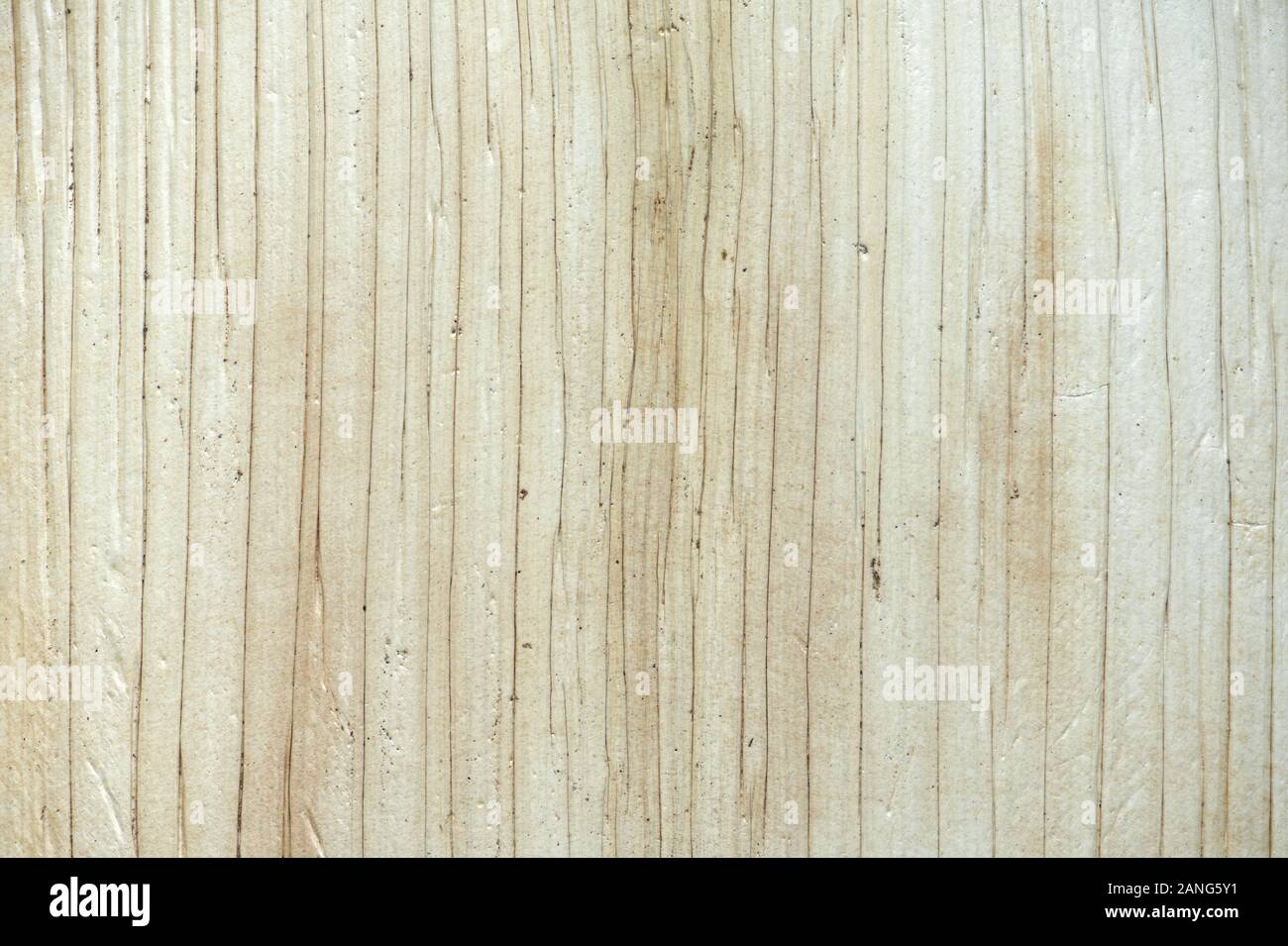 Texture of a disposable, single use palm leaf plate. Natural product, biodegradable and plastic free, earth friendly. Go green concept background. Stock Photo