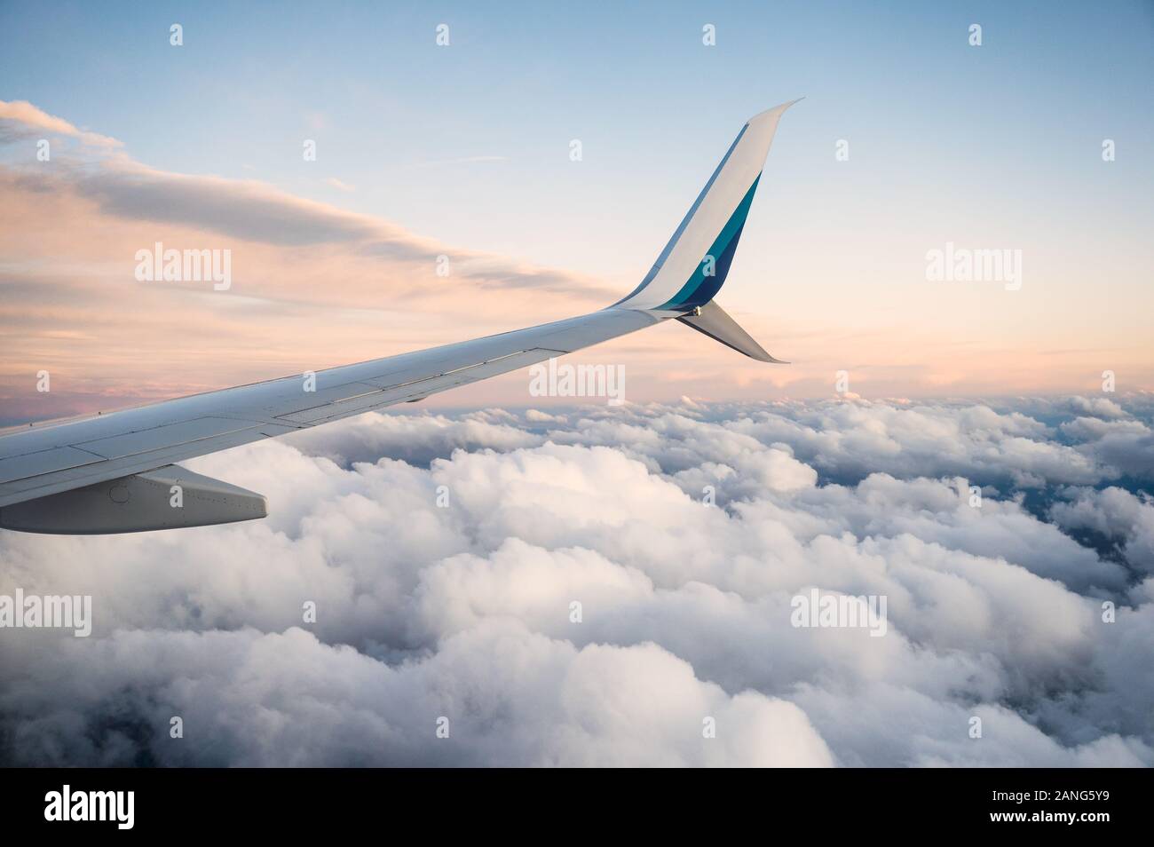 Airplane wing top view hi-res stock photography and images - Alamy