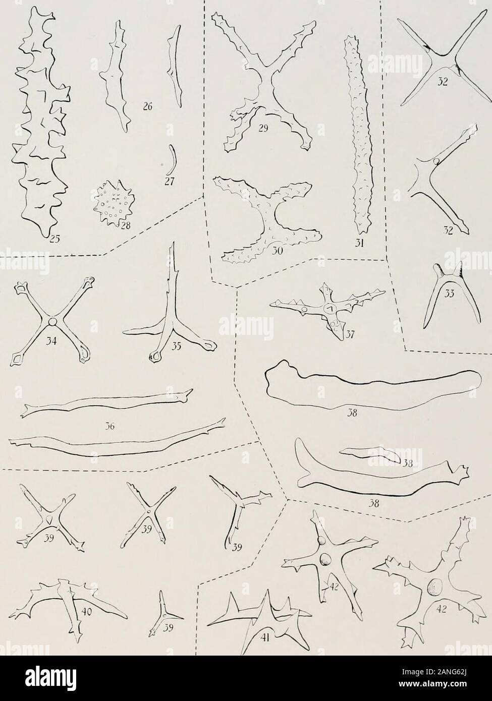 William hoy hires stock photography and images Alamy