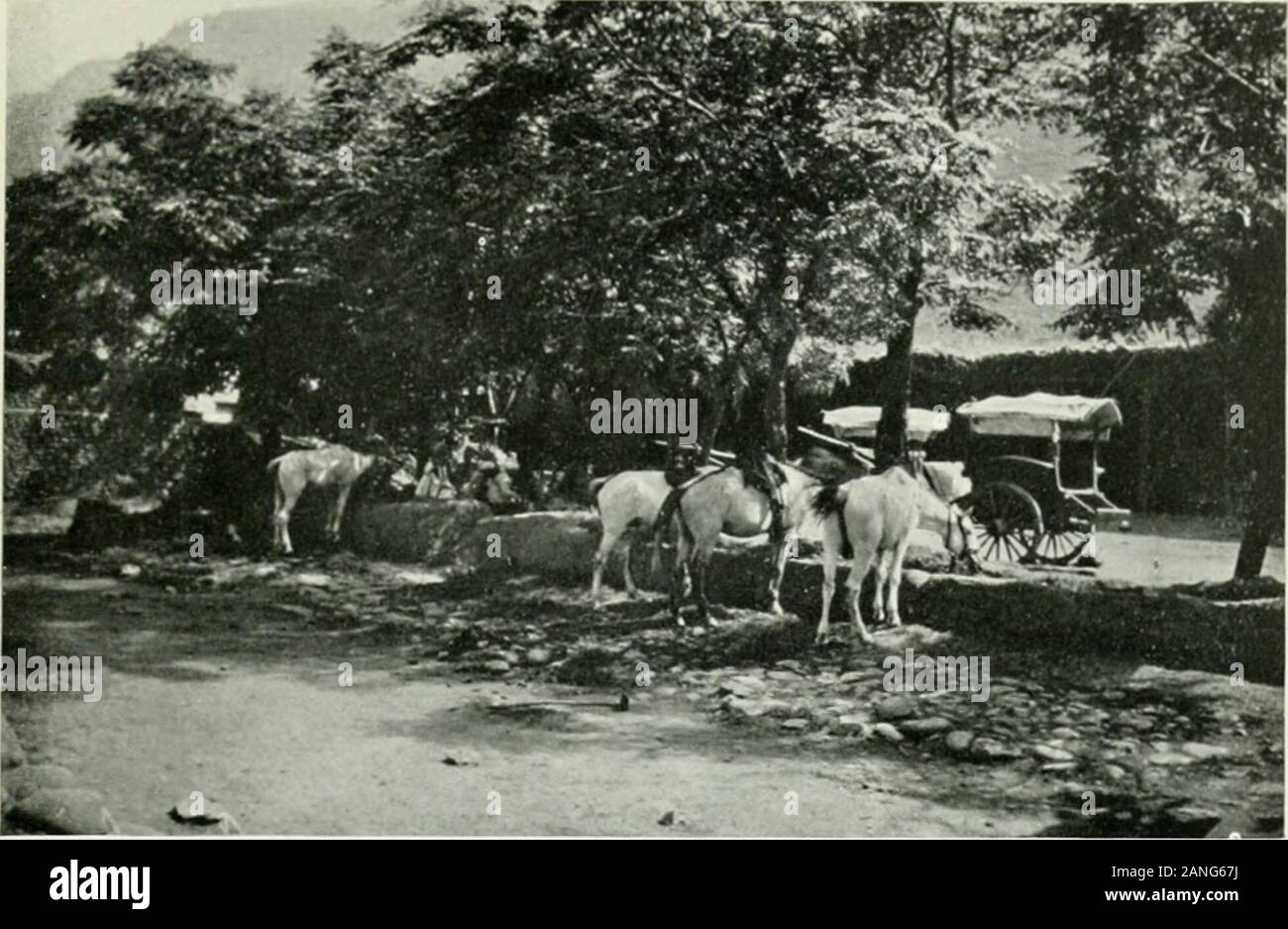 Tonga drivers hires stock photography and images Alamy