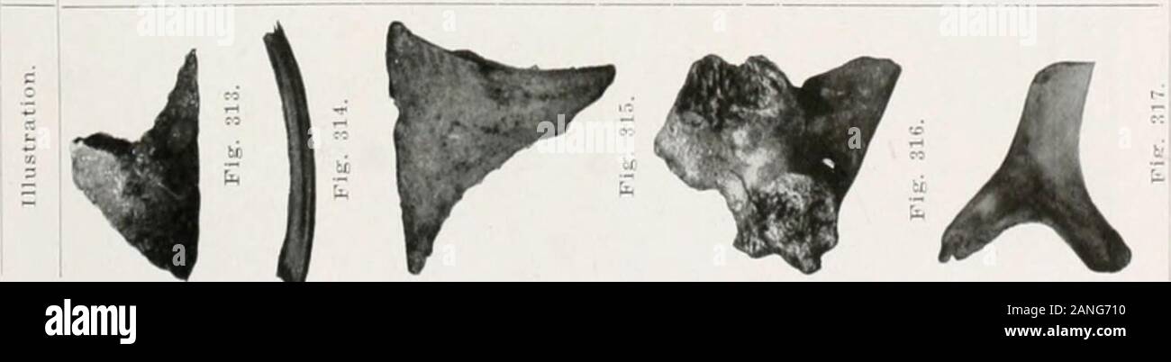 Peroral Endoscopy And Laryngeal Surgery 3s9 S S S 3 T X G Rt K I 0 1 L 3 S I Gt S Abscomhealastmon J Rt 1 Peroral Endoscopy And Laryngeal Surgery 3s9 S S S 3 T X G Rt K I 0 1 L 3 S I Gt S Abscomhealastmon J Rt 1
