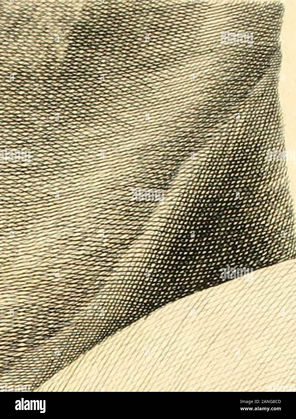 Novi commentari Academiae Scientiarum Imperialis Petropolitanae . i I