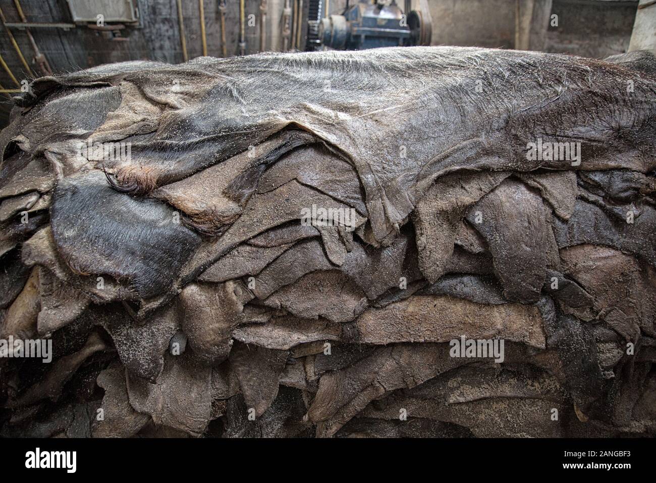 Leather factories in Dacca, Bangladesh Stock Photo Alamy