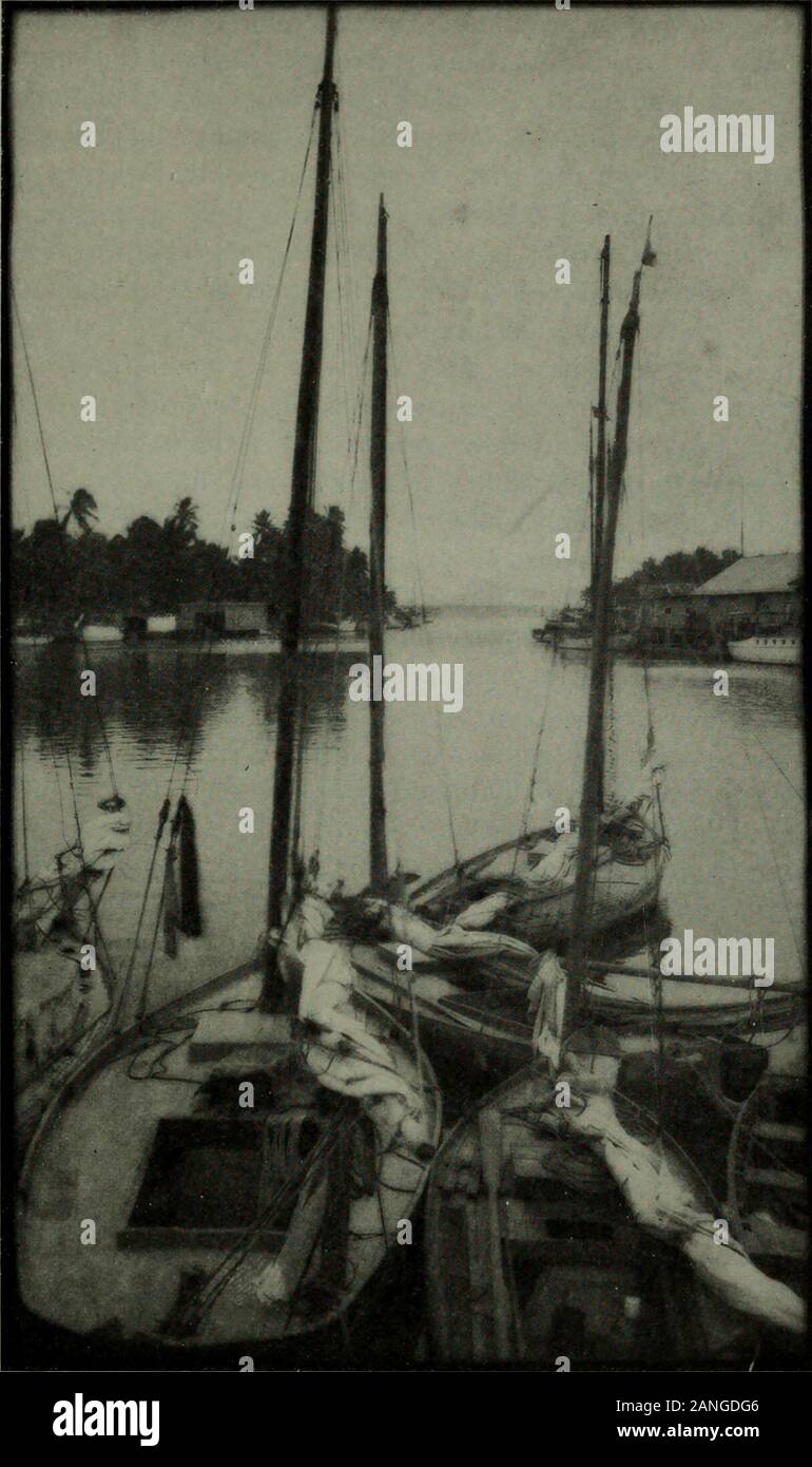 The American annual of photography . it has notyet arrived. As I have chosen gum bichromate as my ideal medium ofexpression for pictorial work I shall not attempt a defenseof either the process or its devotees. We know that the onlyway to solve the problem of successful development is byearnest and persistent effort until for one of us the time willarrive. For a time I was devoted to brush development on platinumwith glycerin restrainer. One has a fair measure of controland for sketchy effects it can hardly be surpassed; also wheresome undesirable portion of the negative is to be eliminatedit Stock Photo