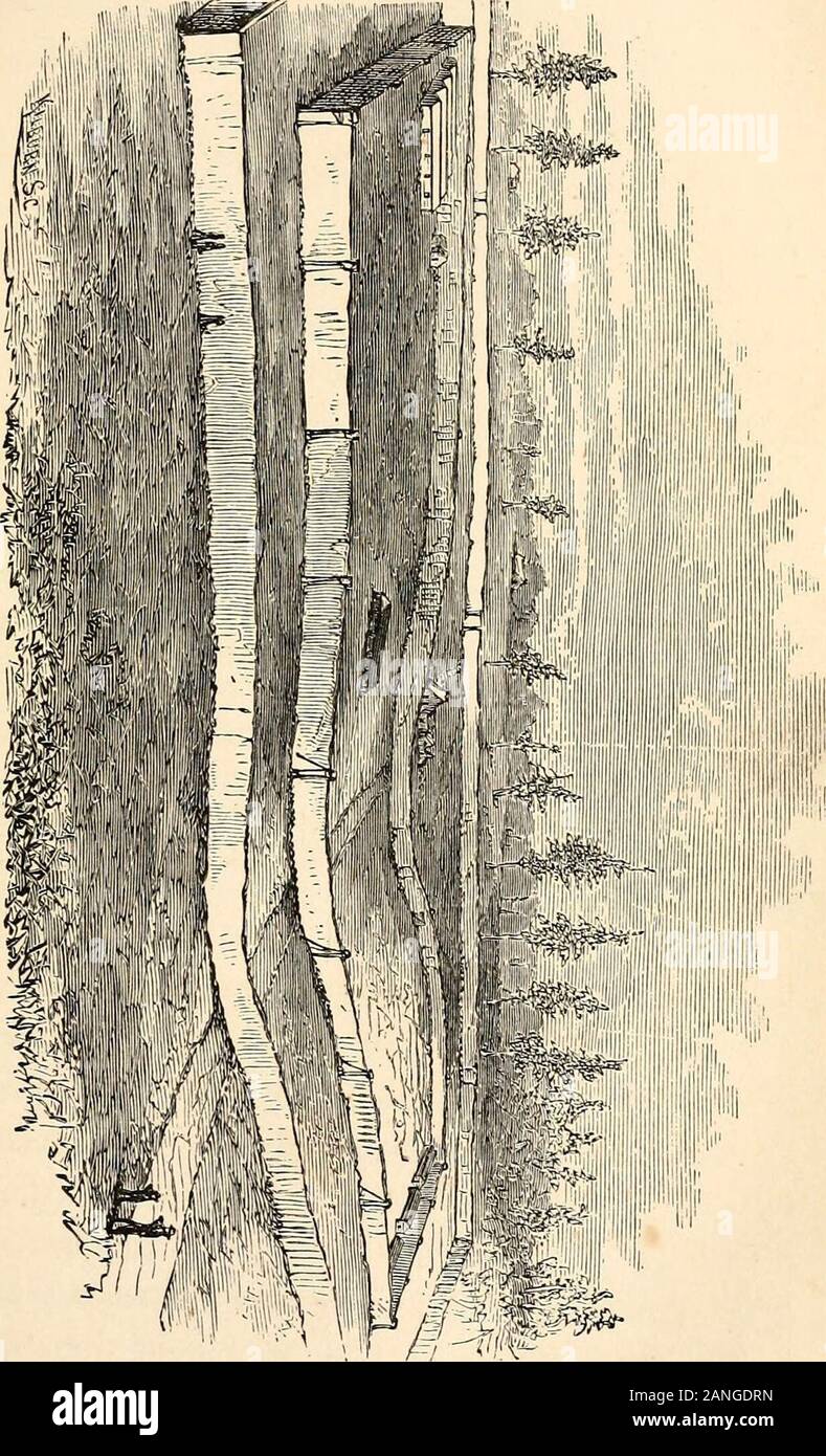 The soldier's story of his captivity at Andersonville, Belle Isle, and  other Rebel prisons . ousand Three Hundred and Eighty Deaths in one Week. —  De-pression of Spirits, Insensibility, Insanity, and Idiocy. —