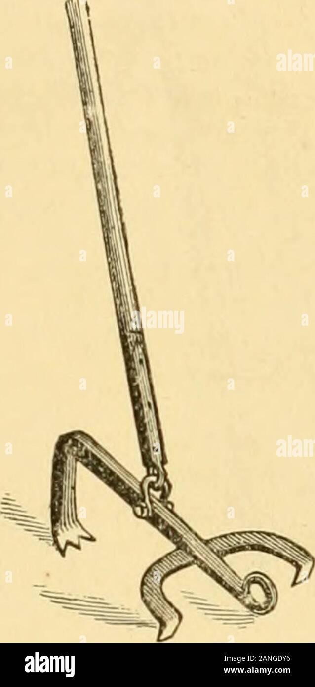 Appletons' cyclopaedia of applied mechanics: a dictionary of mechanical engineering and the mechanical arts . Stock Photo