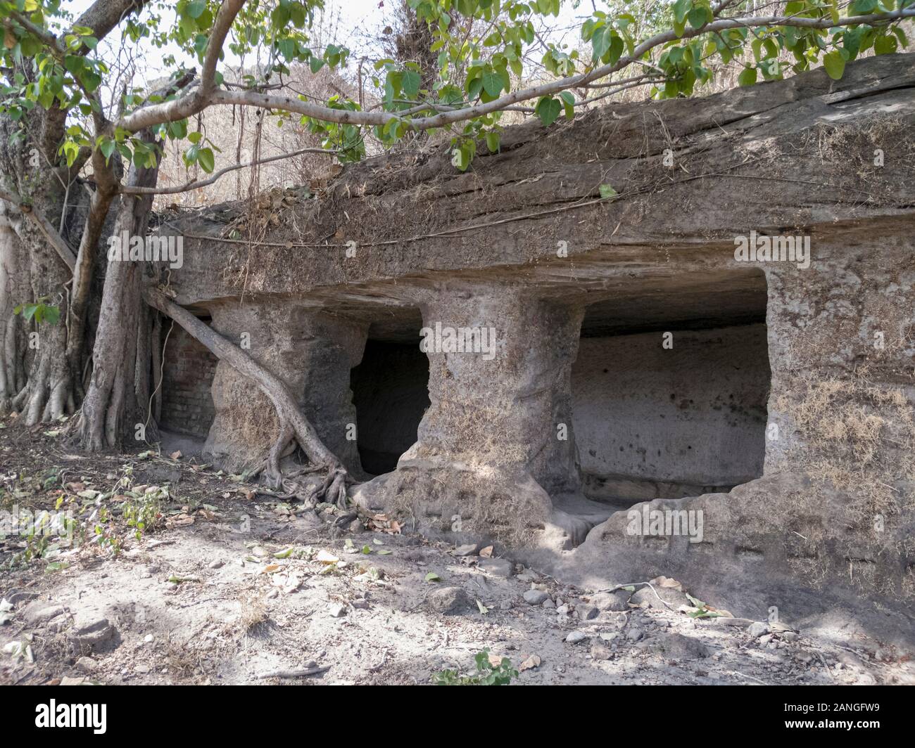 Bandhavgarh Caves Bandhavgarh National Park Madhya Pradesh India