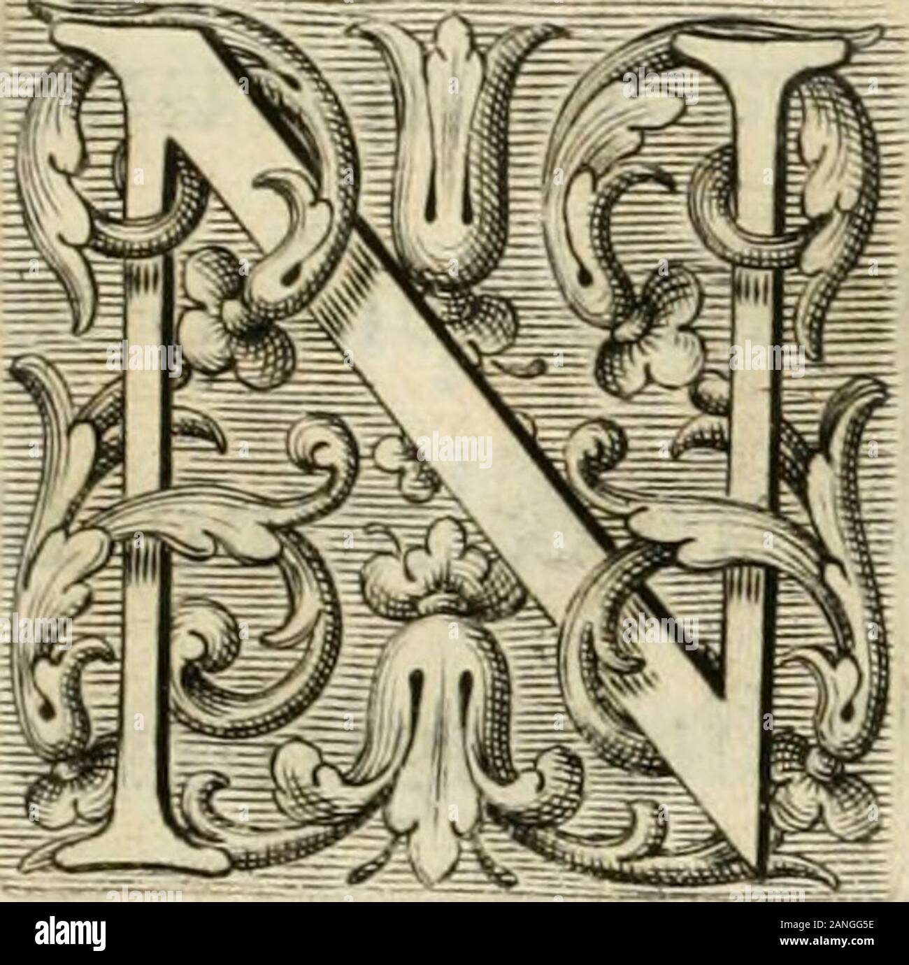 Coloribus hi-res stock photography and images - Alamy