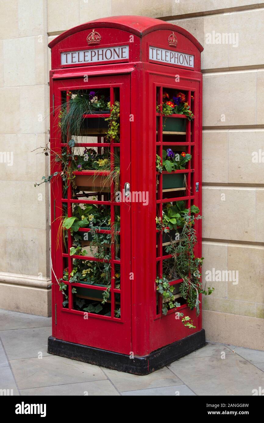 Plants In Phone Box High Resolution Stock Photography And Images Alamy Plants In Phone Box High Resolution Stock Photography And Images Alamy