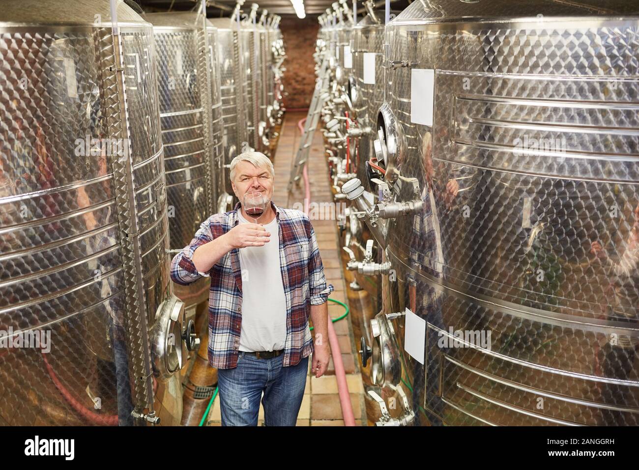 Older winemaker as a wine master drinks a glass of red wine in front of a fermentation tank Stock Photo