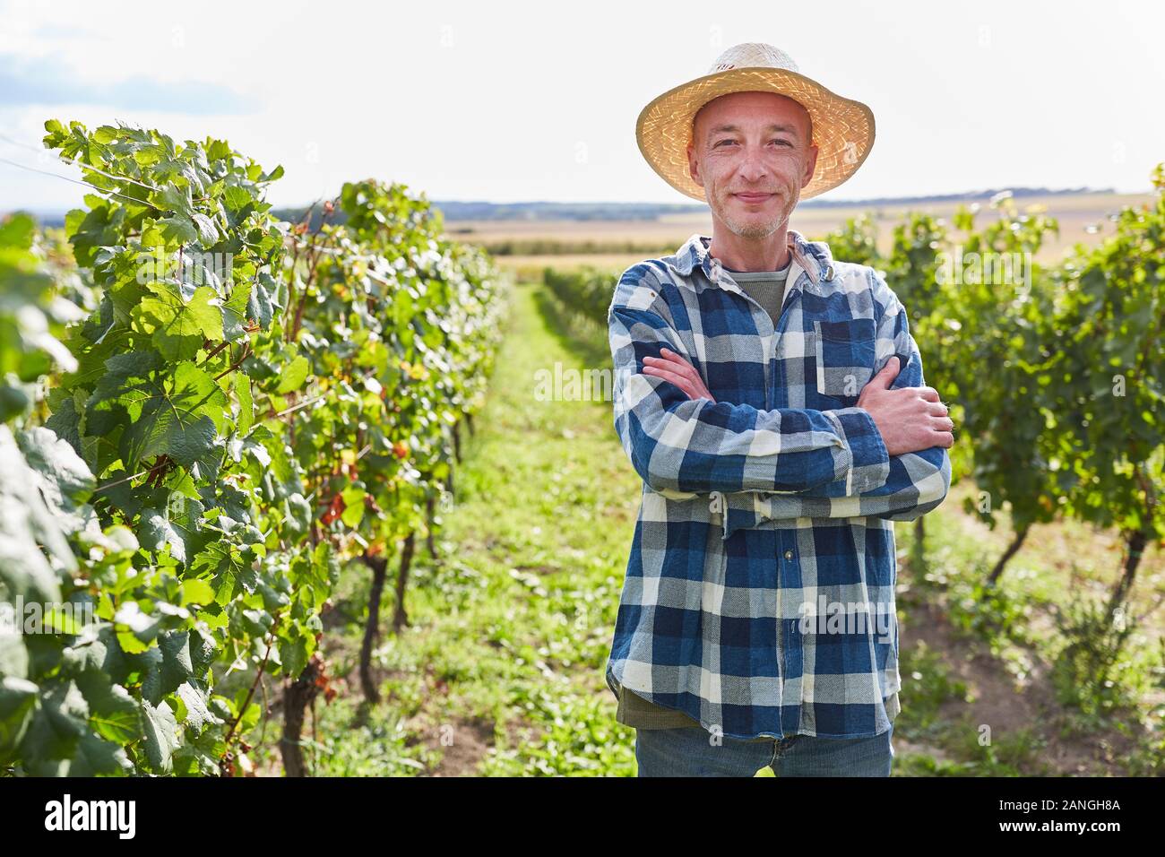 Confident winegrower with his arms crossed in his vineyard Stock Photo