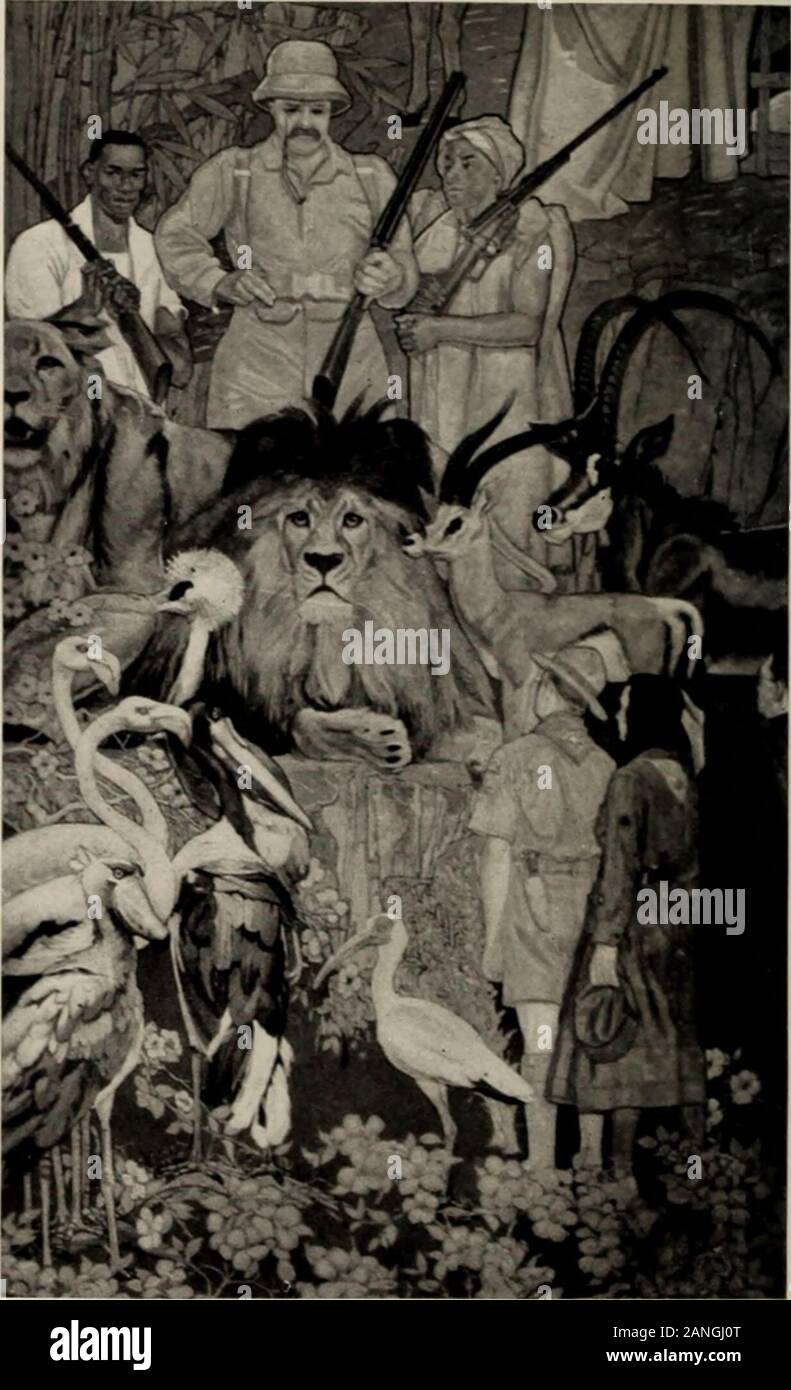 General Guide To The Exhibition Halls Of The American Museum Of Natural History 7 1 7a F V Gt Above Theodore Roosevelt Stands Over A Nubian Lion And Lioness
