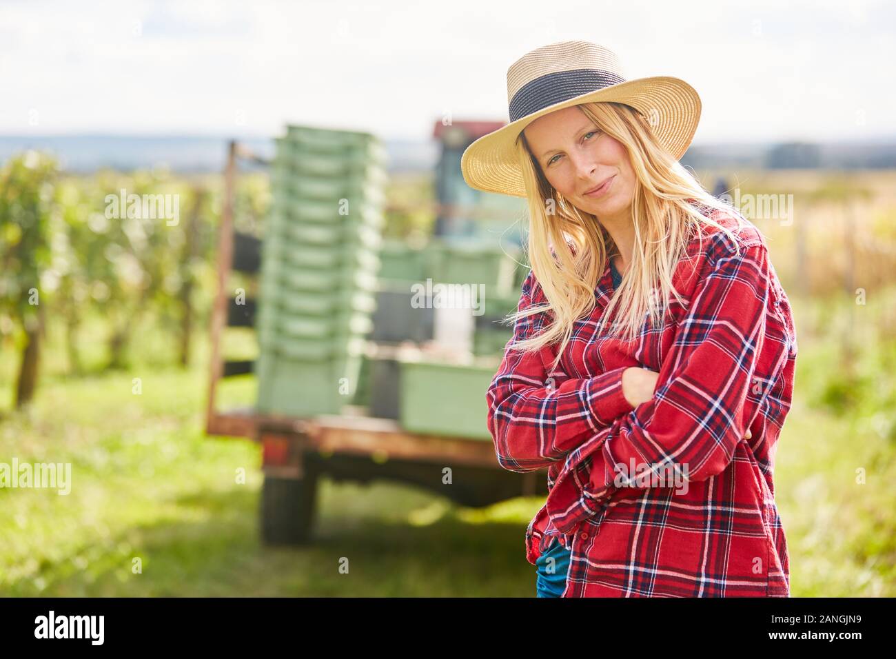 Young woman as a winemaker with crossed arms during the wine harvest in ...