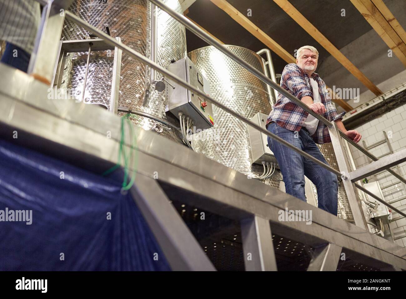 Older winemaker as master winemaker monitors vinification in front of a fermentation tank Stock Photo