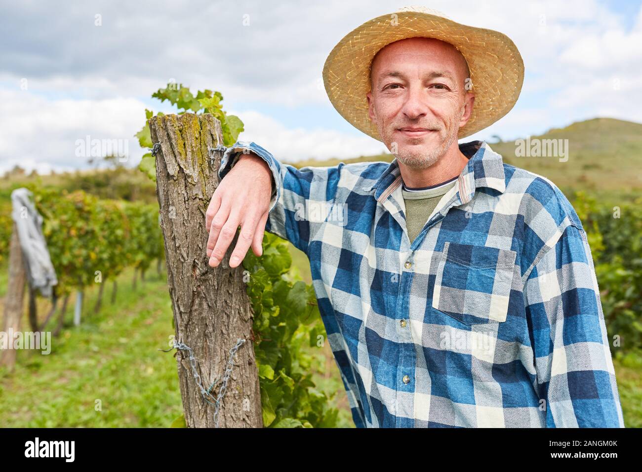 Self-employed winegrower leans against a vine in his vineyard Stock Photo