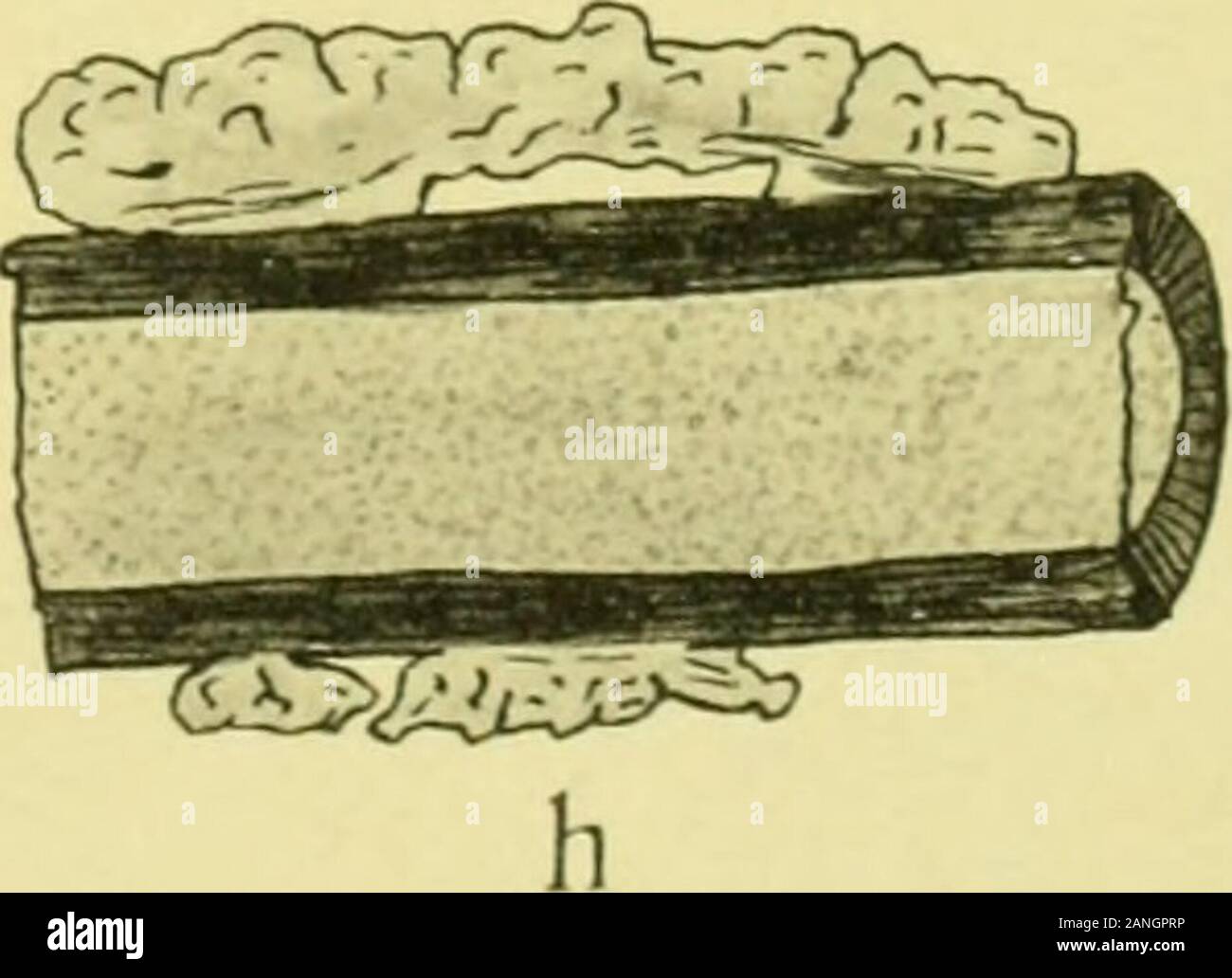 Franco Purini: Study of Architectural Elements (1968) – SOCKS, image size:1300x1032