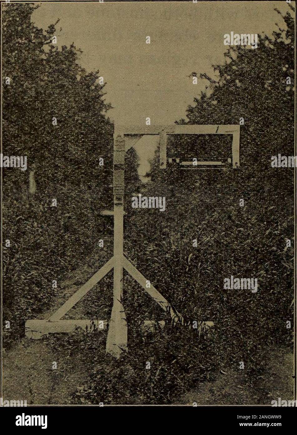 Science for beginners . Fig. 112.—Newly planted cranberry bog. Two or three inches ofsand were spread over the bog before the plants were set. The ditch atthe side of the bog drains the water off quickly when danger of frost ispassed. est temperature of the day at any hour of day or night,especially in winter. 169. Lag of the Season.—Just as the warmest hour of daycomes later than noon, so the warmest part of our summerusually comes later than June 21st, when the sun is farthestnorth; and the coldest of our winter usually comes later thanDecember 22nd, when the sun is farthest south. 170. Nigh Stock Photo