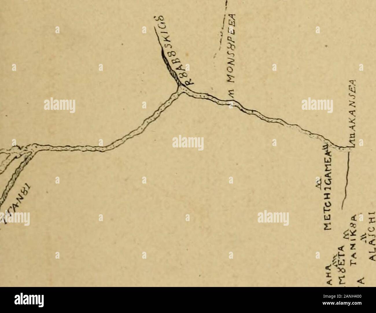 Te2 High Resolution Stock Photography And Images Alamy