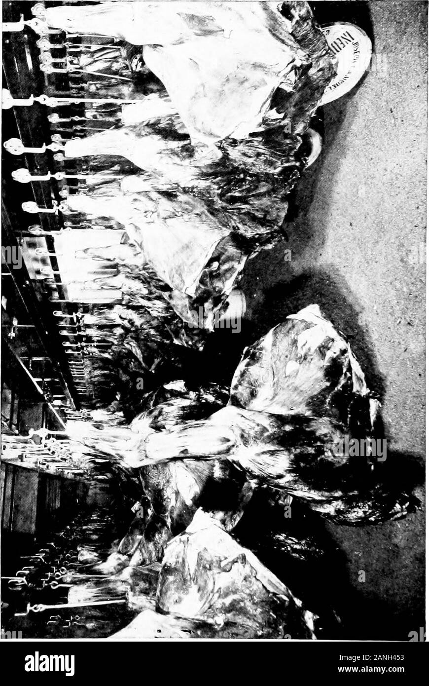 Canned foodsModern processes of canning in the United States, general system of grading, and description of products available for export .. . he cooking, and, by the aid of experts,to be able to make a better and more economical product than can beprepared in the home. For a long time soup had been looked upon as a product which anyonecould prepare in the kitchen from the cheaper cuts of meat and the left-over odds and ends of vegetables, and because of this view and theindifferent quality of the resultant product a kind of natural popularprejudice was created against the canned article. This Stock Photo