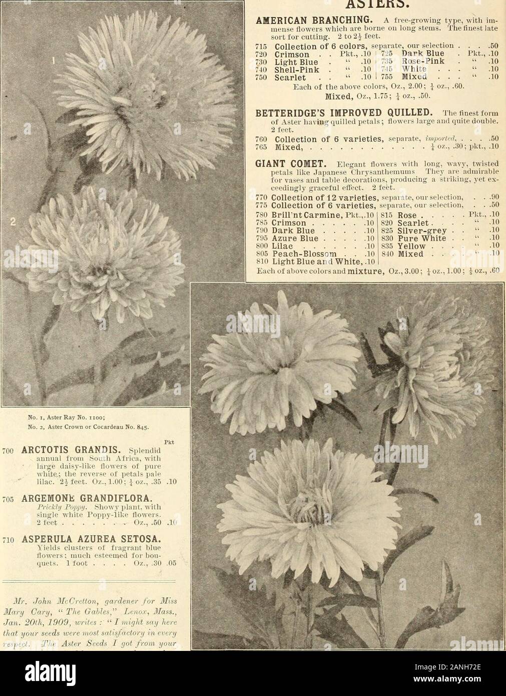 Farquhar's 1910 garden annual . Antirrhinur-.,, Farquhars Giant Strain. R. & J. FARQOHAR & CO., BOSTON. ANNUAL FLOWER SEEDS.. ASTERS. No. I, Aster Ray No. iioo; No. 2, Aster Crown or Cocardeau No. 845. 700 ARCTOTIS GRANDIS. Splendid auuual tioui Soutli Africa, withlarge daisy-like flowers of purewhite.; the reverse of petals palelilac. 2ifeet. Oz., 1.00; J oz., .35 705 ARGEMONE GRANDIFLORA. FricJdy Poppi/. Showy plaut. withsingle white Poppy-like flowers.2 feet Oz., .50 Pkt .10 .10 710 ASPERULA AZUREA SETOSA. Yields clusters of fragraut blueflowers; much esteemed for bou-quets. 1 foot .... Oz. Stock Photo