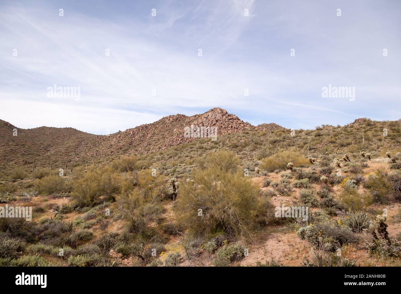 Desert hills in the Tonto National Forest. Stock Photo