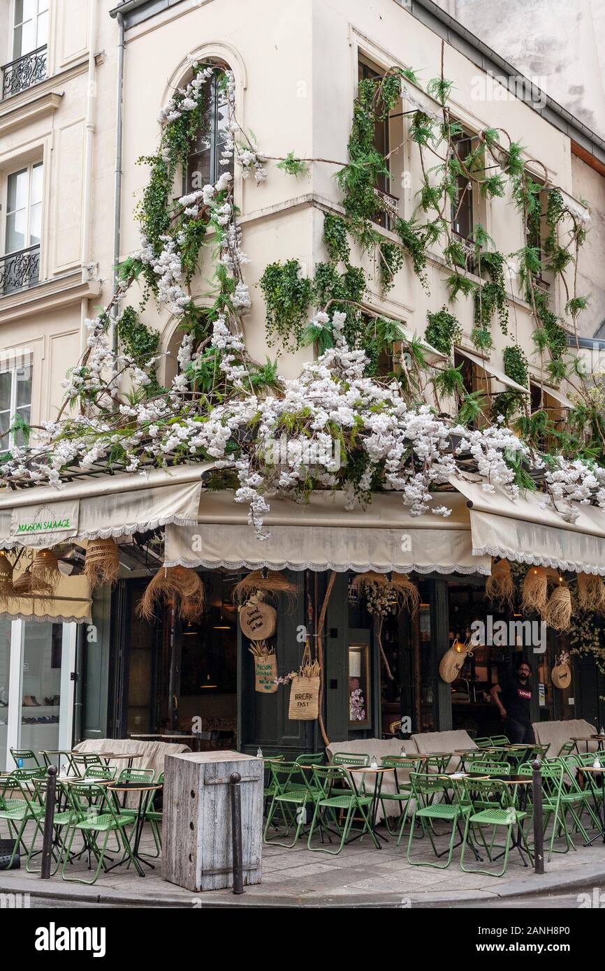 White summer blossoms decorate the facade of Le Maison Sauvage, a Parisian cafe in Paris, France on the Rue de Buci. Stock Photo