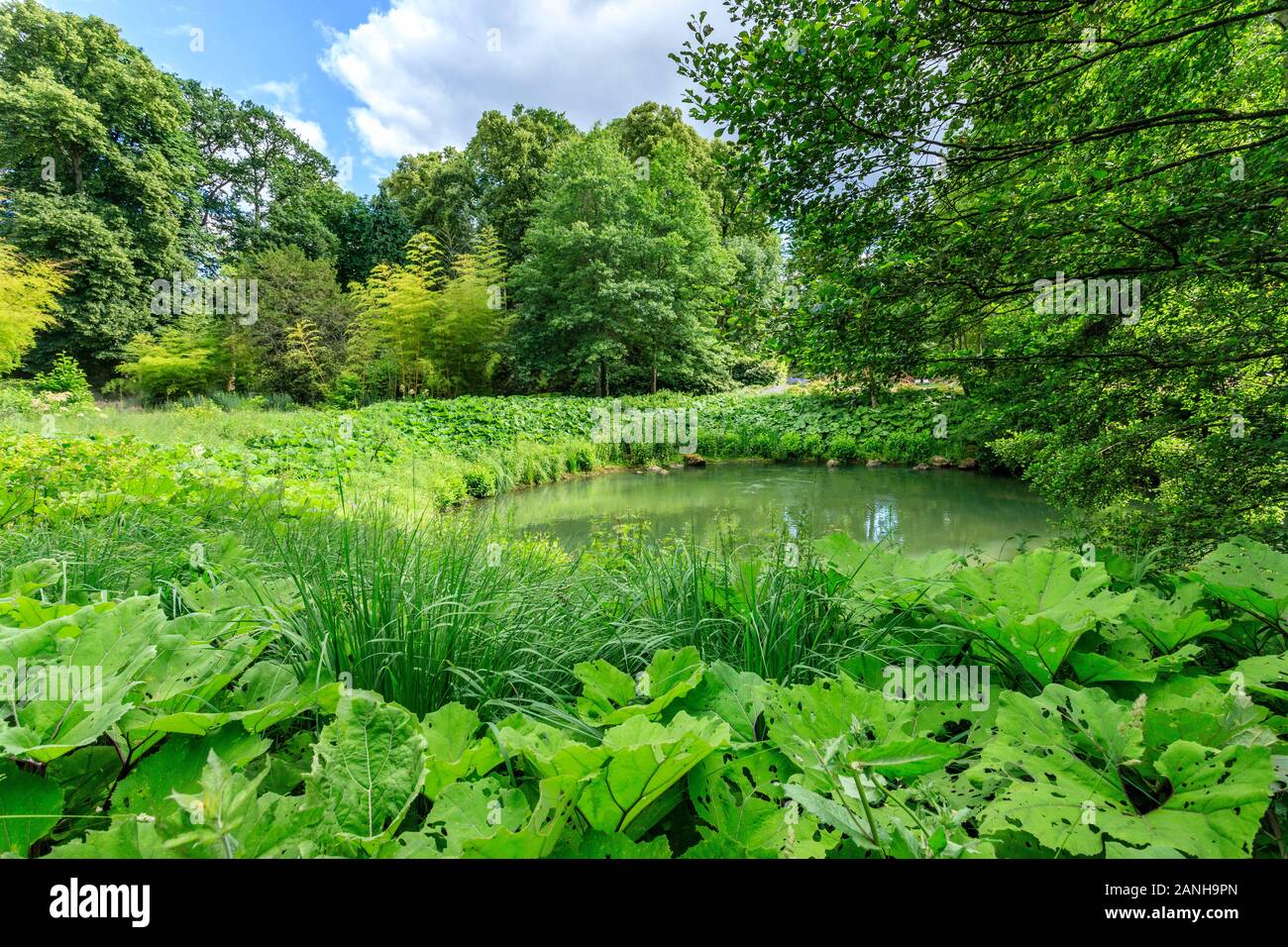 France, Loiret, Orleans, OrleanslaSource, the parc floral de la