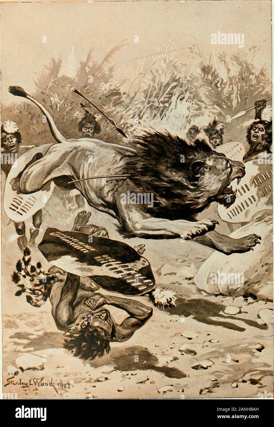 The sports of the world, with illustrations from drawings and photographs . ^ I »* *v-; -*i. BULL-FIGHTING IN PORTUGAL(Photo - Dr Anachoreta.). AS THE LION CHARGED, ITS CHALLENGER, AFTER MAKING ONE STAB AT IT WITH HIS ASSEGAI, WASDASHED TO THE GROUND, BUT ENDEAVOURED TO FALL BENEATH THE COVER OF HIS GREATOXHIDE SHIELD 0&gt;- 10). 2 Stock Photo
