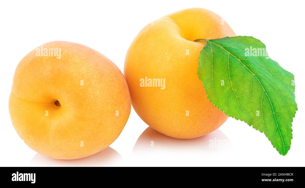 Apricot isolated on white background. Clipping Path Stock Photo - Alamy