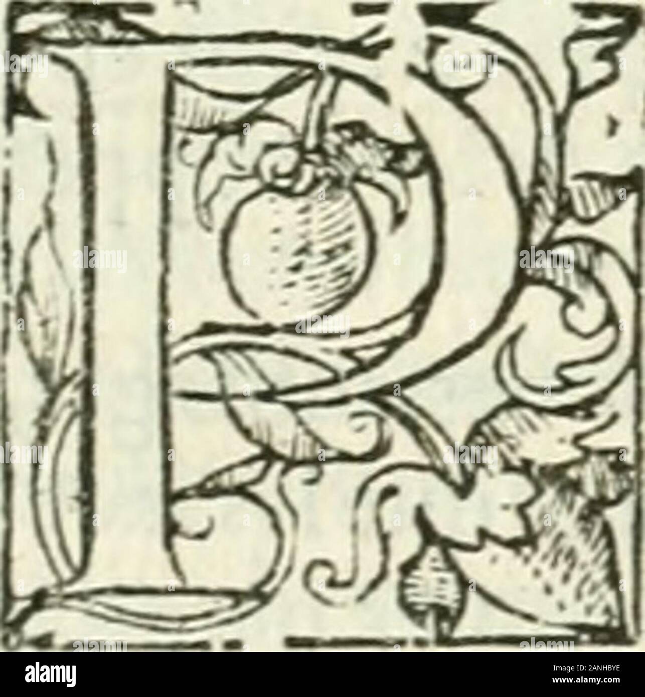 L'agriculture et maison rustique; en laquelle est contenu tout ce qui peut estre requis, pour bastir maison champestre, nourrir & medeciner bestiail & volaille de toutes fortes, dresser iardins ..entretenir les prez, viuiers & estangs ..Plus vn bref recueil de la chasse & de la fauconnerie . es franches, ou qui au pjrauant ont efté plufieurs fois entées, qui amei- nent arbres bien fort droits, ^dauTsi beau bois comme sils eftoyent entez : & nont aucuns piquetons ou efpines qui les remonftrent fauuages.Tcls arbriffeaux fi les voulez replanter ainIî,ou faillir de leur baft irdierc fans autrement Stock Photo