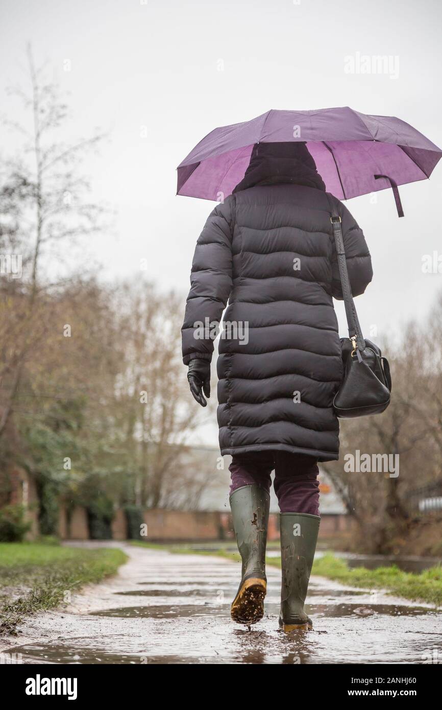 Woman With No Umbrella In Rain Stock Photos Woman With No
