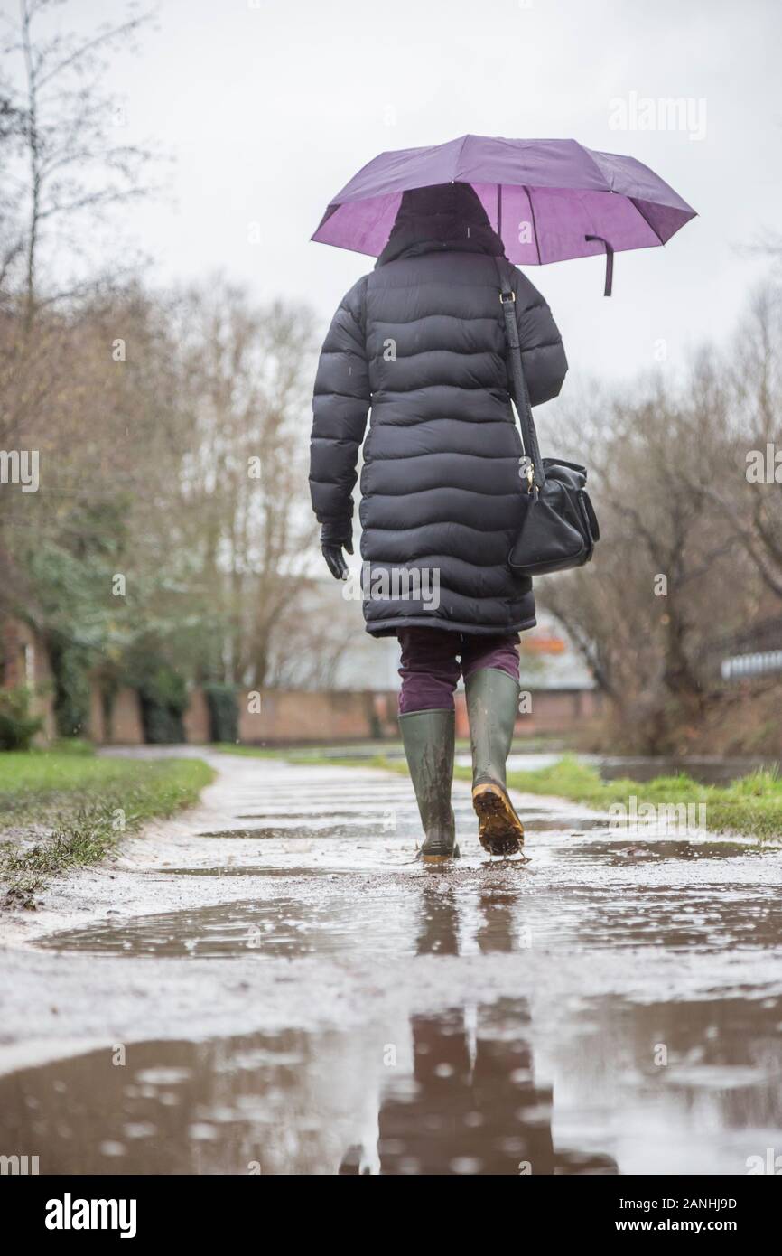 Kidderminster, UK. 17th January, 2019. UK weather: with absolutely no let up in the wet weather, water levels are on the rise and even pavements are flooded forcing pedestrians to resort to their wellington boots. A woman holding umbrella, low angle and rear view, is seen here isolated walking through the puddles in her wellies along a canal towpath in the rain. The month of January is proving to be a wet, dreary start to the new year. Credit: Lee Hudson/Alamy Live News Stock Photo